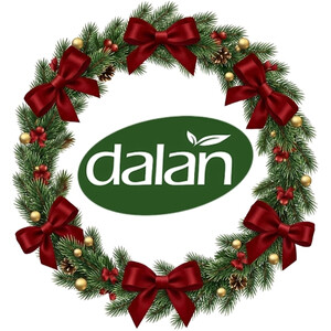 Dalan