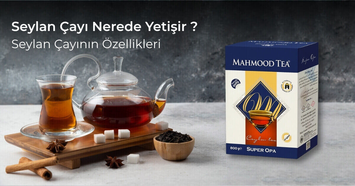 Seylan Çayı Nerede Yetişir? Seylan Çayının Özellikleri