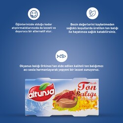 Altunsa Ton Balığı Acılı 2×160 Gr - 3