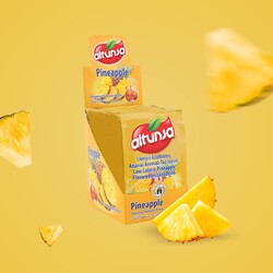 Altunsa Ananas Aromalı Soğuk Toz İçecek 9 gr X 24 Adet - 2