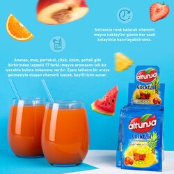Altunsa Karışık Aromalı Soğuk Toz İçecek 9 gr X 24 Adet - 4