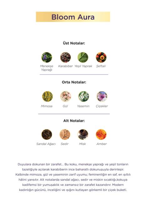 Aryené Bloom Aura Parfume for Women 50 ML - 3