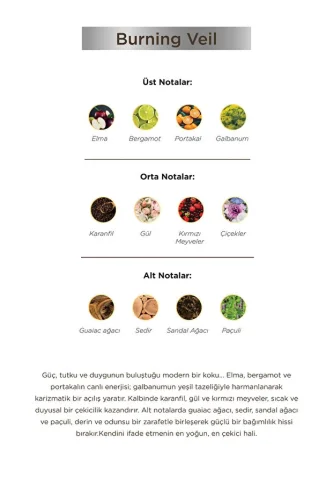 Aryené Burning Veil Parfume for Men 50 ML - 3