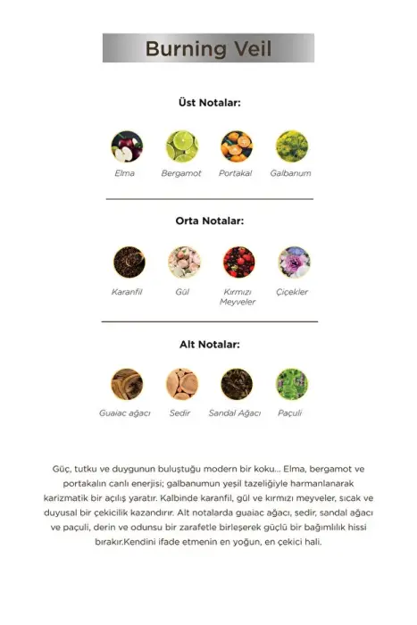 Aryené Burning Veil Parfume for Men 50 ML - 3