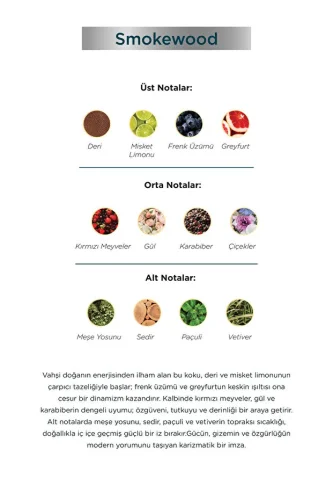 Aryené Smokewood Parfume for Men 50 ML - 3