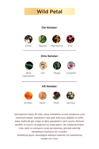 Aryené Wild Petal Parfume for Women 50 ML - 3