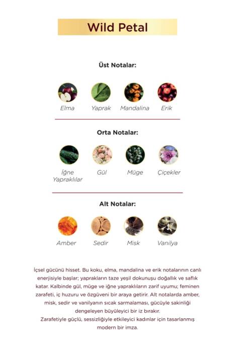 Aryené Wild Petal Parfume for Women 50 ML - 3