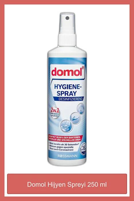 Domol Hijyen Spreyi 250 ml - 1
